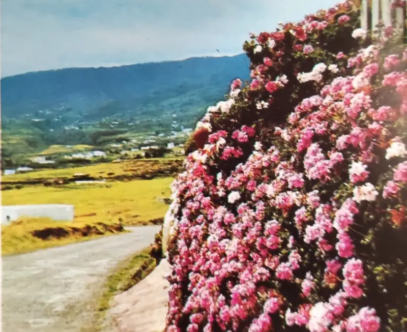 Los Llanos de Aridane